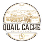 site_logo (2)